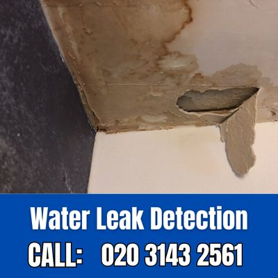 Expert Water Leak Detection Services in South Croydon | South Croydon Leak Detection